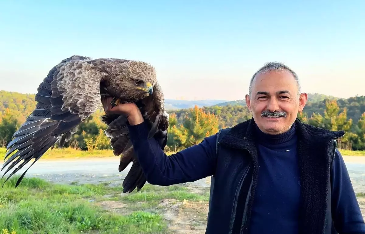 İstanbul’da Yaralı Kaya Kartalı Bulundu